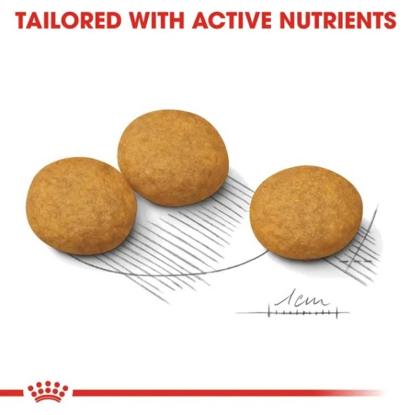 Royal Canin Dermacomfort Medium - Пълноценна суха храна за кучета от средни породи, склонни към раздразнена и сърбяща кожа